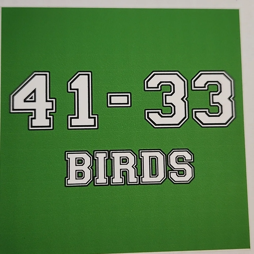 41-33 Birds Green Logo Stainless Steel Flask
